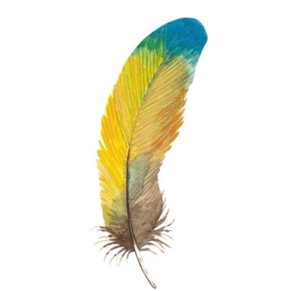 Watercolor yellow blue abstract feather art print - Picture 2 of 2